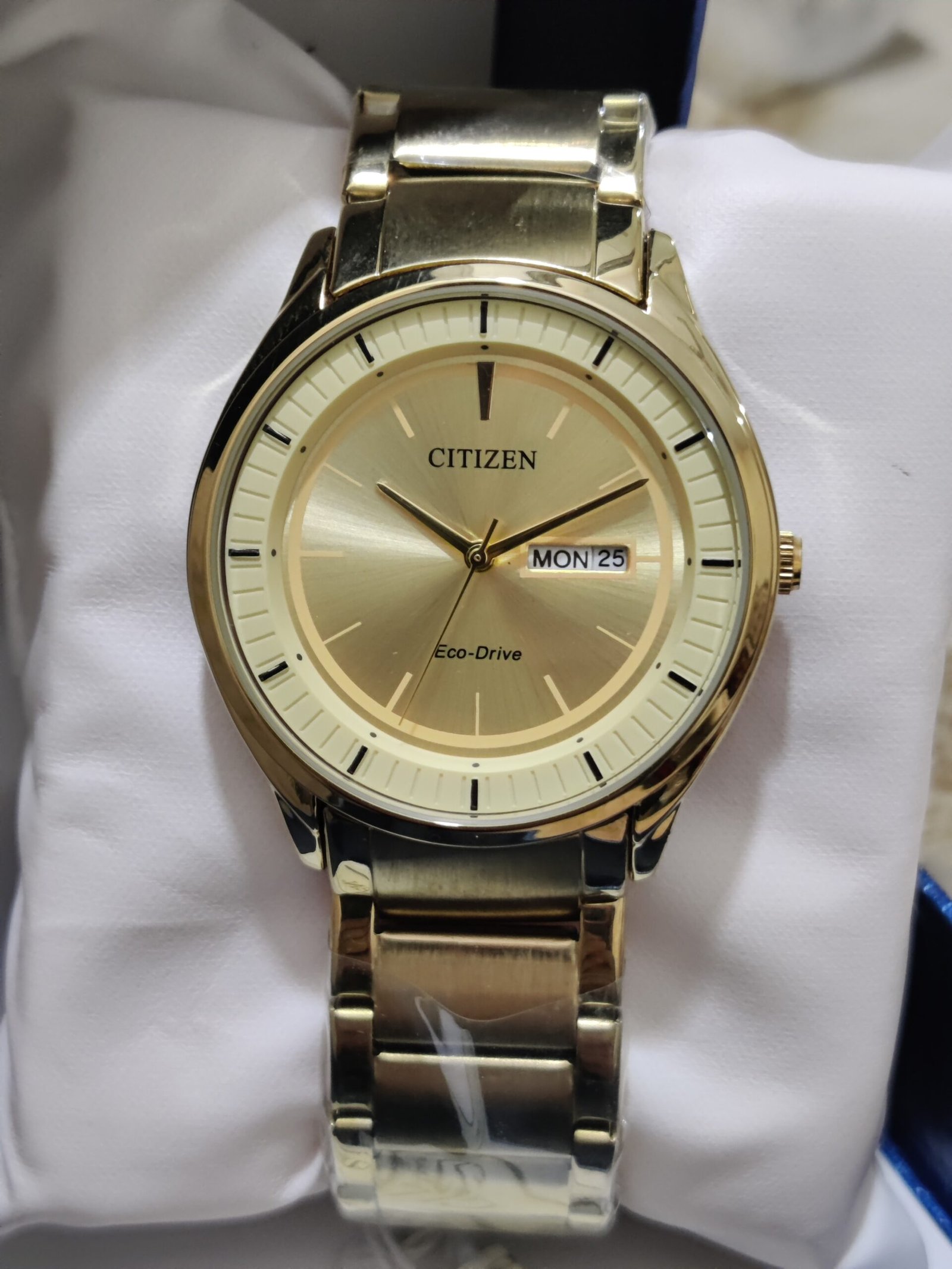 IMG_20240204_125236_Bokeh